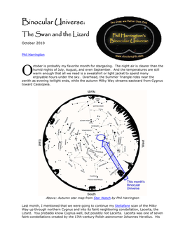 Binocular Universe: the Swan and the Lizard October 2010