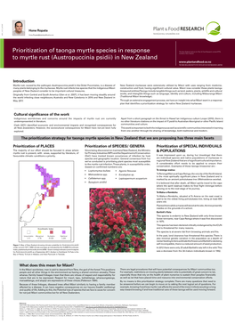 Prioritization of Taonga Myrtle Species in Response to Myrtle Rust