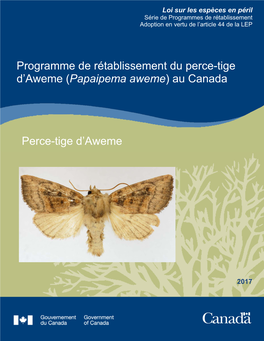 Perce-Tige D'aweme