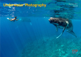 Underwater Photography