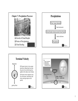 Precipitations Terminal Velocity