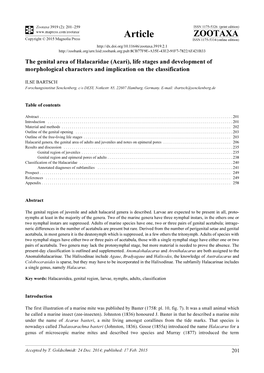 The Genital Area of Halacaridae (Acari), Life Stages and Development of Morphological Characters and Implication on the Classification