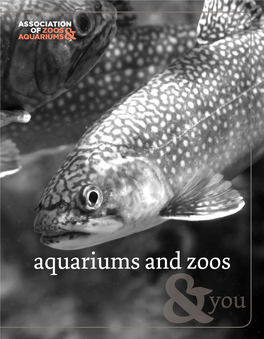 You Aquariums and Zoos