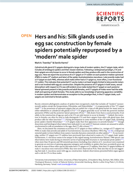 Silk Glands Used in Egg Sac Construction by Female Spiders Potentially Repurposed by a ‘Modern’ Male Spider Mark A