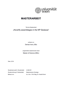 Masterarbeit