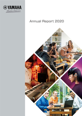 Annual Report 2020 Annual