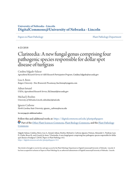 A New Fungal Genus Comprising Four Pathogenic Species Responsible For