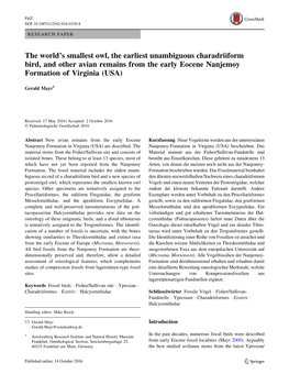 The World's Smallest Owl, the Earliest Unambiguous Charadriiform Bird