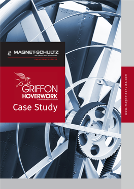 Case Study Magnet Schultz Case Sudy