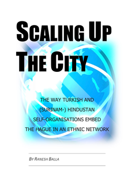 Scaling up the City: the Way Turkish and (Surinam-) Hindustan Self-Organisations Embed the Hague in an Ethnic Network