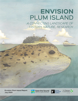 Envision Plum Island Report July 2020 IFC TOC