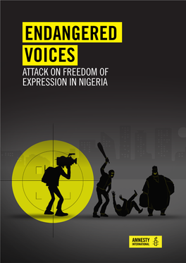 Endangered Voices: Attack on Freedom of Expression in Nigeria 22