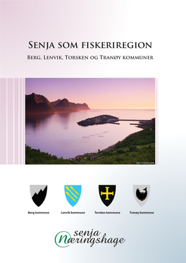 Senja Som Fiskeriregion Berg, Lenvik, Torsken Og Tranøy Kommuner