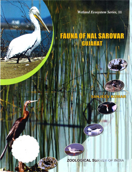 Fauna of Nal Sarovar Gujarat