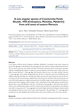 A New Singular Species of Croscherichia Pardo Alcaide, 1950