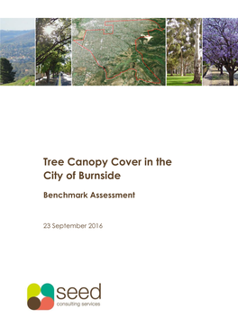 Tree Canopy Cover in the City of Burnside