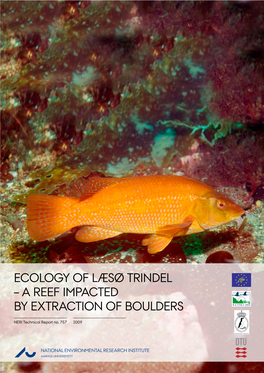 Ecology of Læsø Trindel - a Reef Impacted by Extraction of Boulders