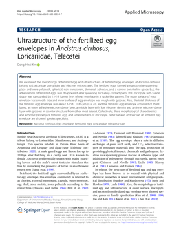 Ultrastructure of the Fertilized Egg Envelopes in Ancistrus Cirrhosus, Loricariidae, Teleostei Dong Heui Kim