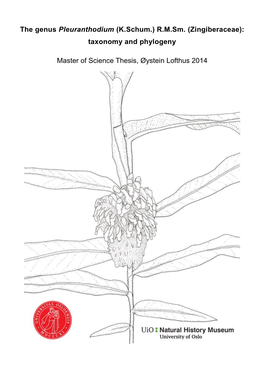 Zingiberaceae): Taxonomy and Phylogeny