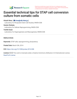 Essential Technical Tips for STAP Cell Conversion Culture from Somatic Cells