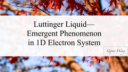 Luttinger Liquid— Emergent Phenomenon in 1D Electron System