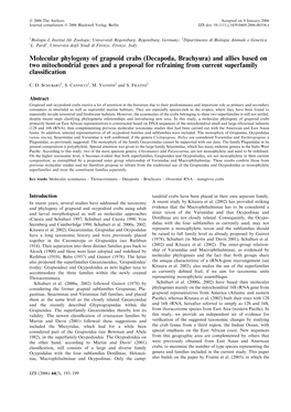 Molecular Phylogeny of Grapsoid Crabs (Decapoda, Brachyura) And