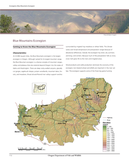 Blue Mountains Ecoregion