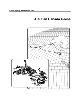 Aleutian Canada Goose Plan