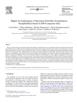 Higher Level Phylogeny of Satyrinae Butterflies (Lepidoptera