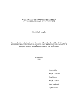 Rna-Protein Condensation Patterns the Cytosolic Landscape of a Syncytium