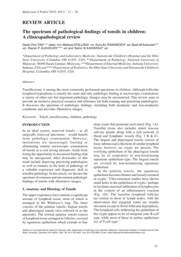 The Spectrum of Pathological Findings of Tonsils in Children: A