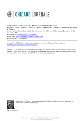 The Evolution of Photosynthetic Anatomy in Viburnum (Adoxaceae)