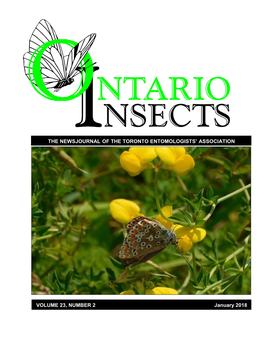 THE NEWSJOURNAL of the TORONTO ENTOMOLOGISTS' ASSOCIATION VOLUME 23, NUMBER 2 January 2018 September 2015