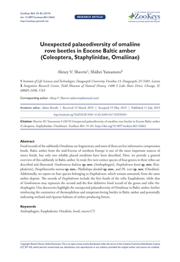 Unexpected Palaeodiversity of Omaliine Rove Beetles in Eocene Baltic Amber (Coleoptera, Staphylinidae, Omaliinae)