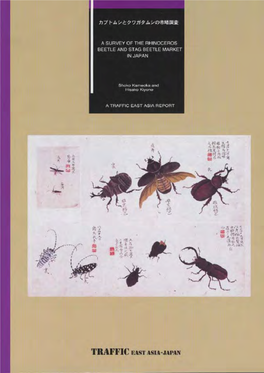 A Survey of the Rhinoceros Beetle and Stag Beetle Market in Japan