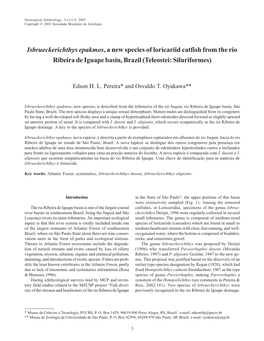 Isbrueckerichthys Epakmos, a New Species of Loricariid Catfish from the Rio Ribeira De Iguape Basin, Brazil (Teleostei: Siluriformes)