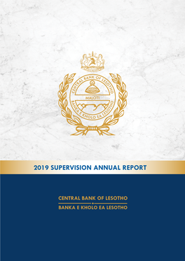 2019 Supervision Annual Report