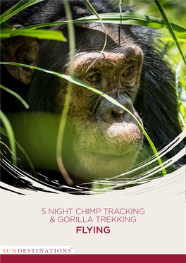Flying 5 Night Chimp Tracking & Gorilla Trekking - Flying Details: 1 Night Entebbe - 2 Nights Crater Safari Lodge - 2 Nights Gorilla Safari Lodge