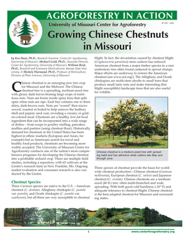 Growing Chinese Chestnuts in Missouri by Ken Hunt, Ph.D., Research Scientist, Center for Agroforestry, Blight