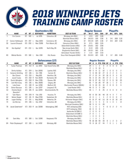 2018 Winnipeg Jets Training Camp Roster