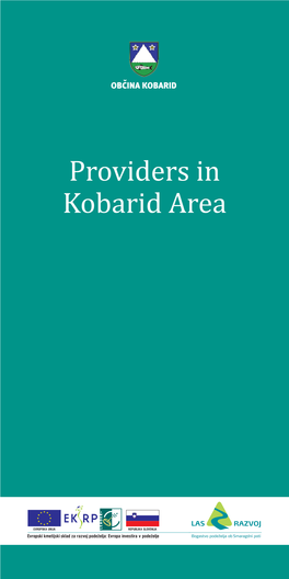 Providers in Kobarid Area