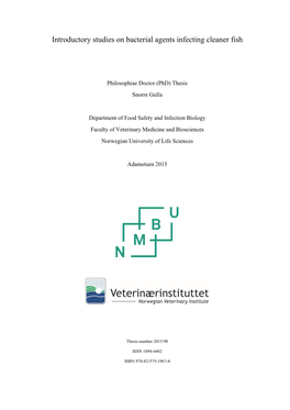 Introductory Studies on Bacterial Agents Infecting Cleaner Fish