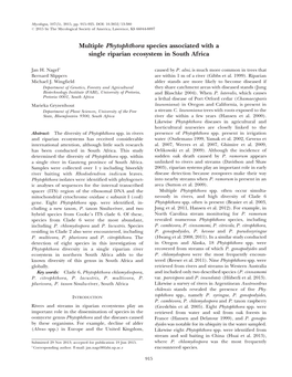 Multiple Phytophthora Species Associated with a Single Riparian Ecosystem in South Africa