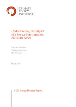 Understanding the Impact of a Low Carbon Transition on South Africa