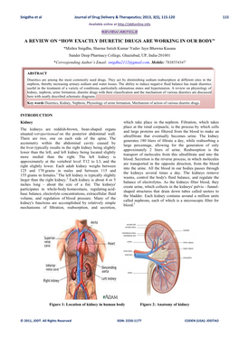 A Review on “How Exactly Diuretic Drugs Are Working in Our Body”