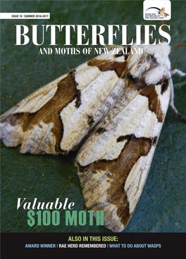 19-Butterflies