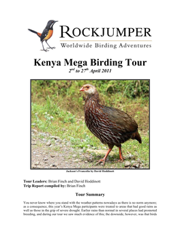 Kenya Mega Birding Tour 2Nd to 27Th April 2011