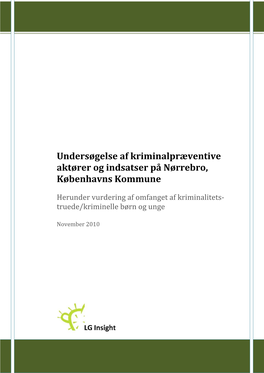 Undersøgelse Af Kriminalpræventive Aktører Og Indsatser På Nørrebro, Københavns Kommune