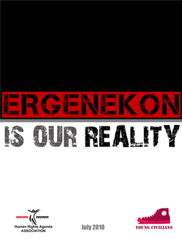 Ergenekon Is Our Reality