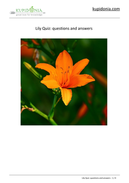 Lily Quiz: Questions and Answers